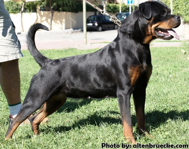 beely perfil madrid